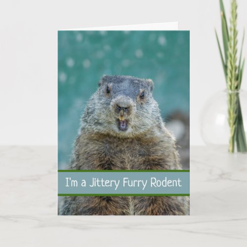 Funny Groundhog Day with Jittery Furry Rodent Card