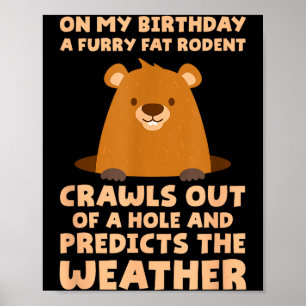 Funny Groundhog On My Birthday A Furry Fat Rodent Poster