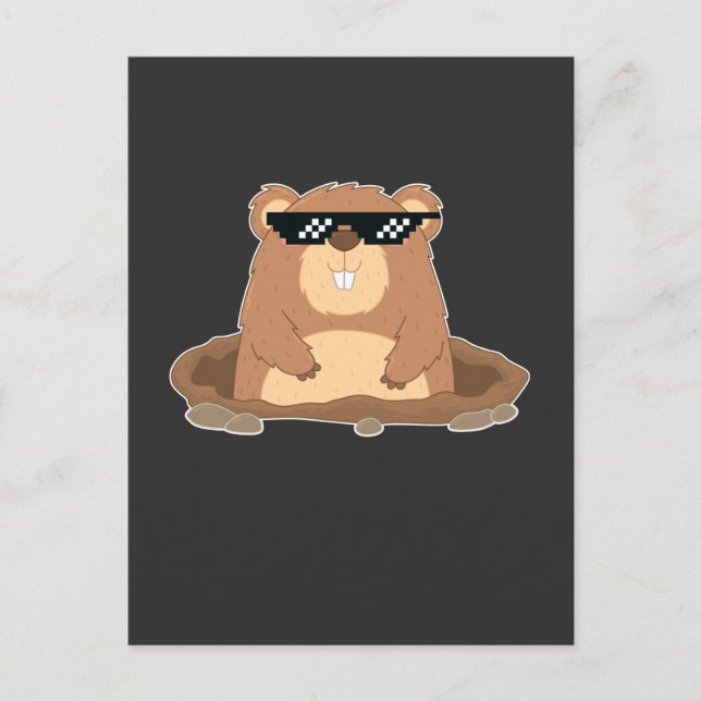 Funny Groundhog with Sunglasses Humor Postcard (Front)