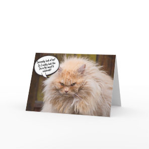 Funny Grumpy Cat Birthday Greeting Card