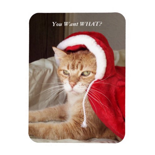 Funny Grumpy Cat Christmas Magnet Humorous