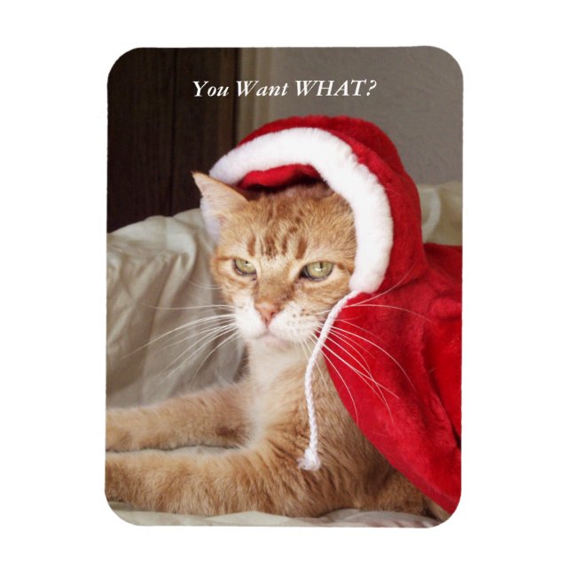 Funny Grumpy Cat Christmas Magnet Humorous (Vertical)