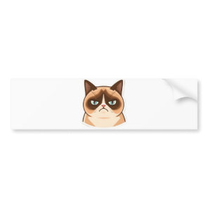 Funny Grumpy Cat-Cute Kawaii Angry Cat Cartoon Bumper Sticker