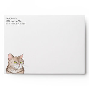 Funny Grumpy Cat Envelope