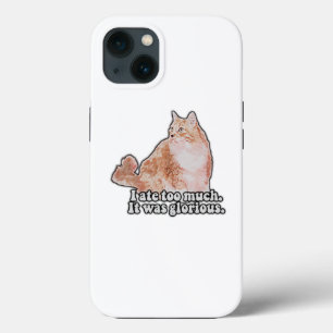 Funny grumpy cat meme for cat and kitty lovers iPhone 13 case