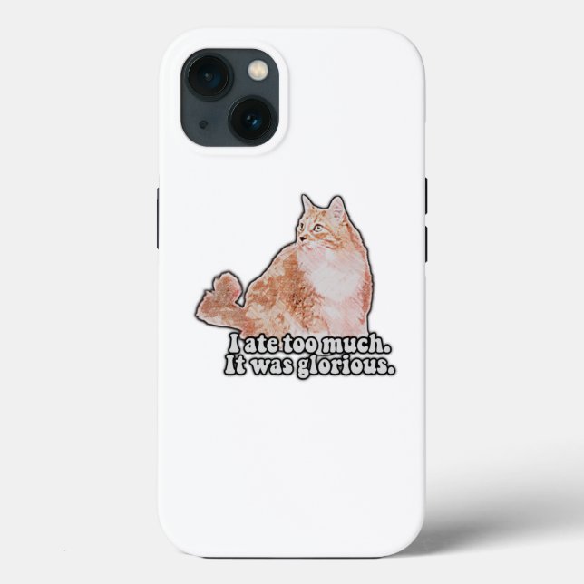 Funny grumpy cat meme for cat and kitty lovers Case-Mate iPhone case (Back)