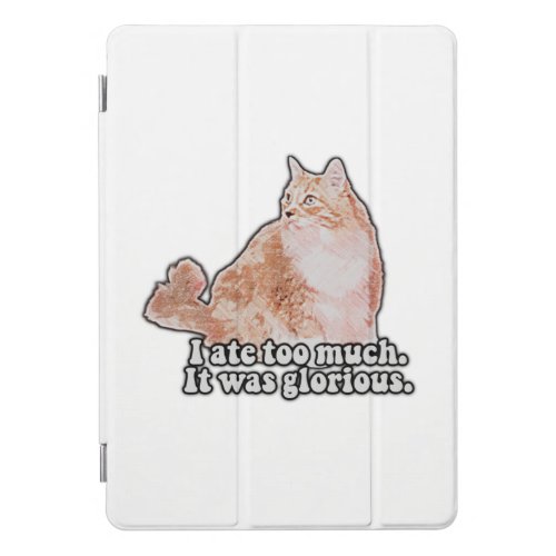 Funny grumpy cat meme for cat and kitty lovers iPad pro cover