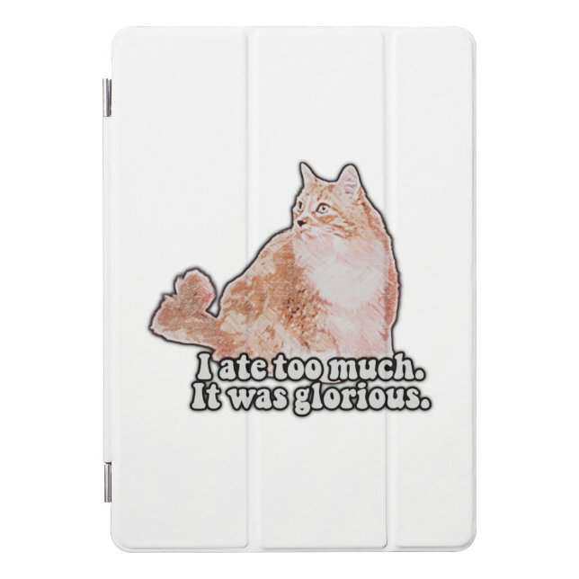 Funny grumpy cat meme for cat and kitty lovers iPad pro cover (Front)
