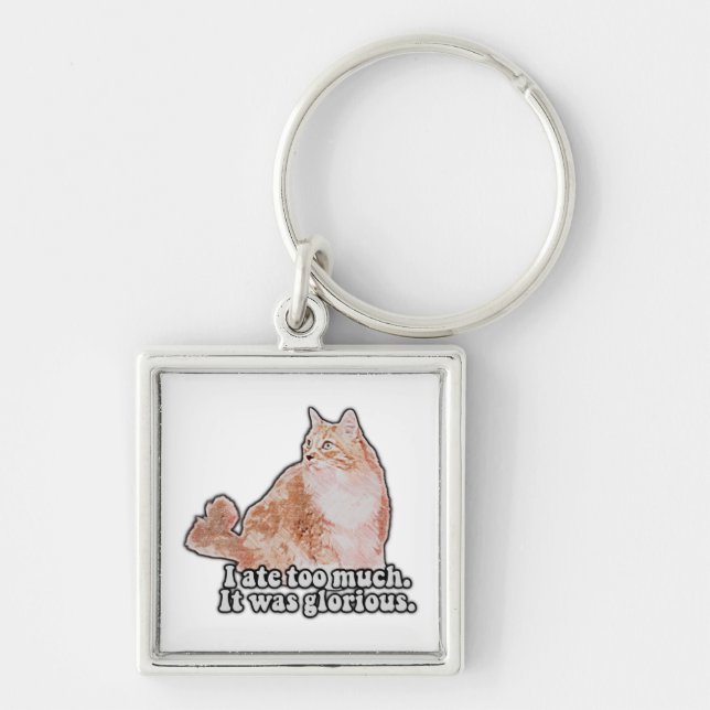 Funny grumpy cat meme for cat and kitty lovers keychain (Front)