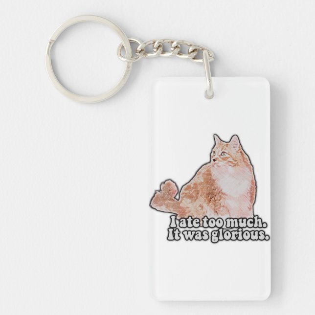 Funny grumpy cat meme for cat and kitty lovers keychain (Front)