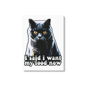 Funny grumpy cat meme for cat owners and lovers canvas print