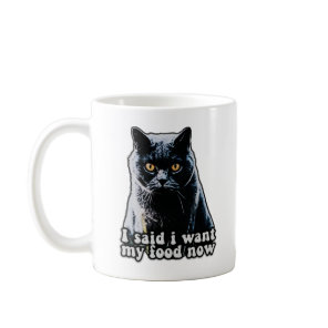 Funny grumpy cat meme for cat owners and lovers coffee mug