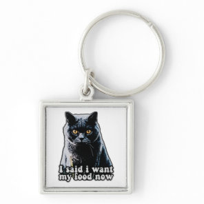 Funny grumpy cat meme for cat owners and lovers keychain