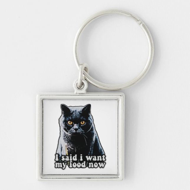 Funny grumpy cat meme for cat owners and lovers keychain (Front)