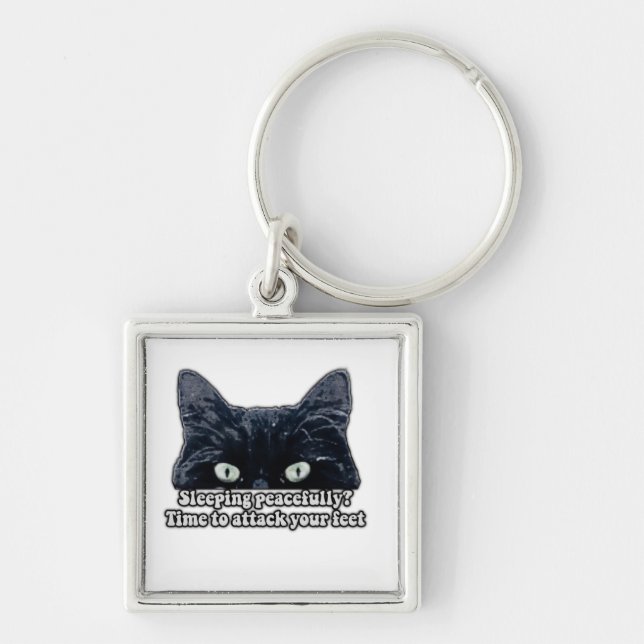 Funny grumpy cat meme for kitten owners &cat lover keychain (Front)