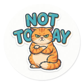 Funny Grumpy Cat Not Today T-Shirt Classic Round Sticker