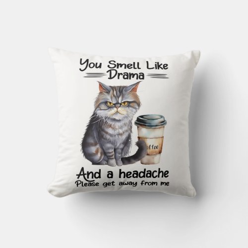 Funny Grumpy Cat Saying Throw Pillow