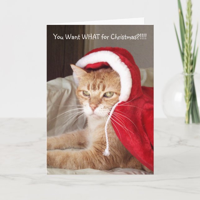 Funny Grumpy Ginger Cat Christmas Card Humor (Front)