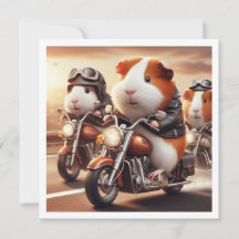 Funny Guinea Pig Invitation, Guinea Pig birthday