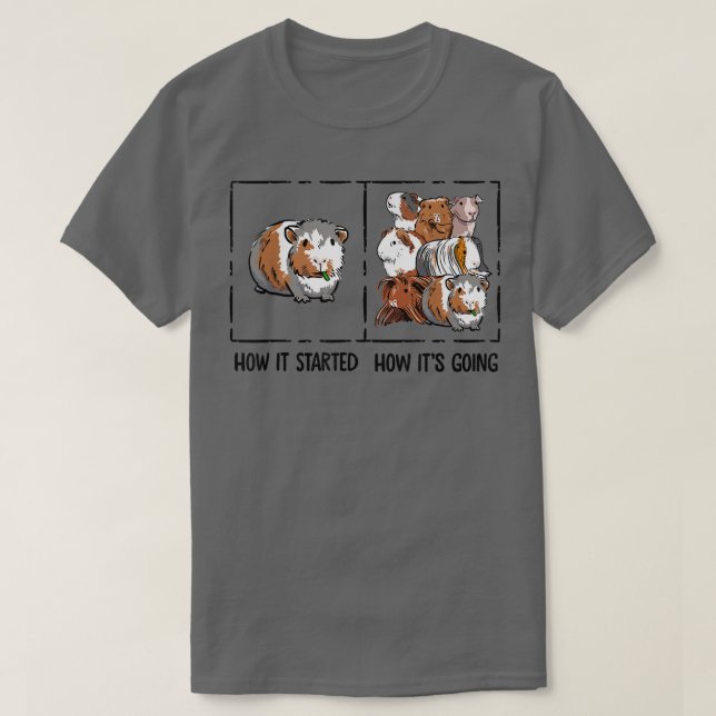 Funny Guinea Pig Lover How It Started Meme Cute Ca T-Shirt (Design Front)