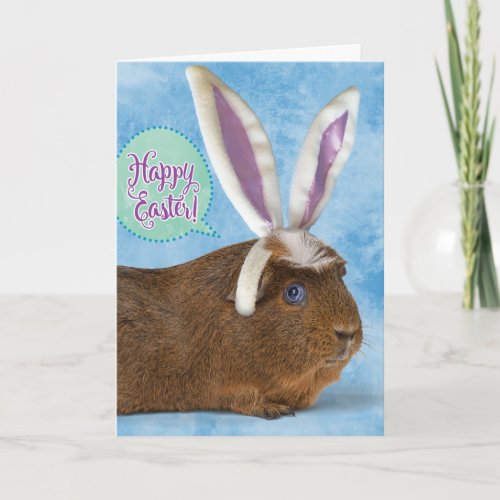 Funny Guinea Pig Photo Dont Eat Chocolate Eggs Card