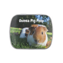 Funny Guinea Pig Poop Novelty Joke Prank Gag Jelly Belly Candy Tin
