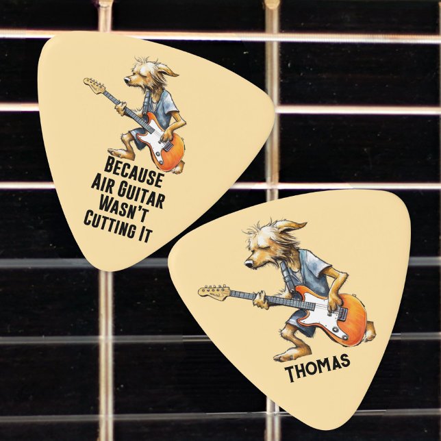 Funny Guitar Pick (funny guitar pick)