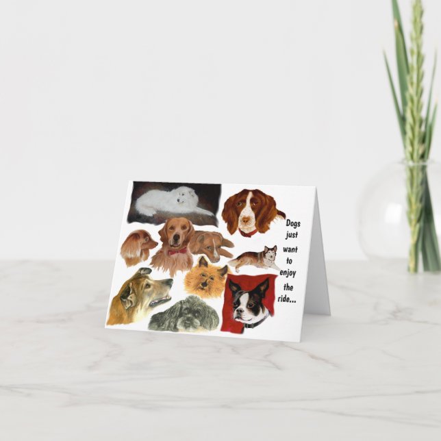 Funny Habits of Dogs n Cats Card (Front)