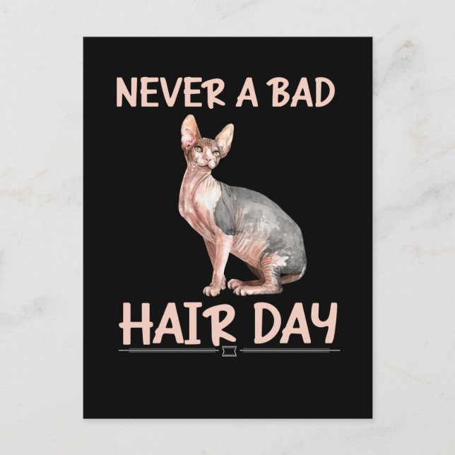 Funny Hairless Cat Sphynx Hair Humor Postcard (Front)