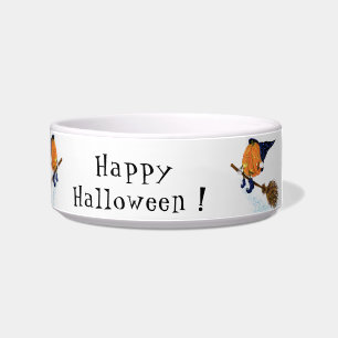 Funny Halloween Bowls Witch Pumpkin Flying