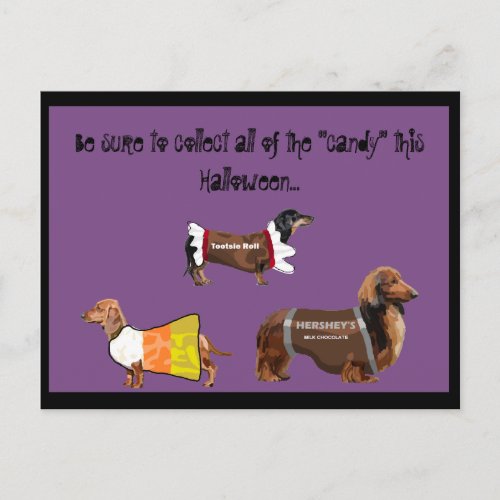 Funny Halloween Collect Candy Dogs Postcard
