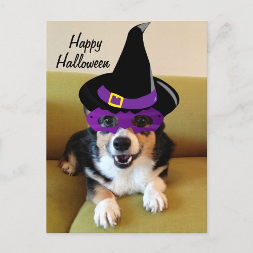 Funny Halloween Corgi in Costume Postcard