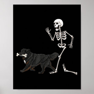Funny Halloween Newfoundland And Skeleton Poster