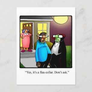 Funny Halloween Pumpkin Humor Postcard