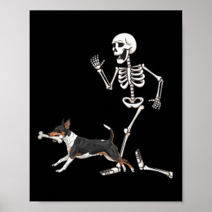 Funny Halloween Rat Terrier And Skeleton  Poster