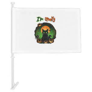 Funny Halloween Spooky Black Cat Pumpkin Bat Starr Car Flag