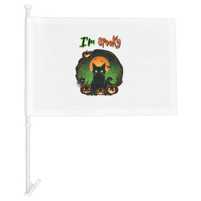 Funny Halloween Spooky Black Cat Pumpkin Bat Starr Car Flag (Front)