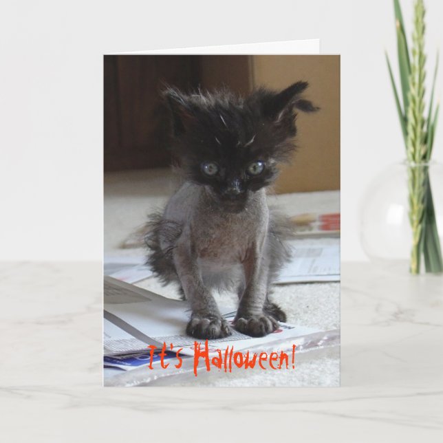 Funny Halloween Zombie Kitty Card (Front)