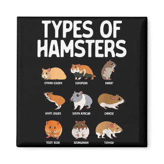 Funny Hamster Art For Men Women Boys Girls Hamster Magnet