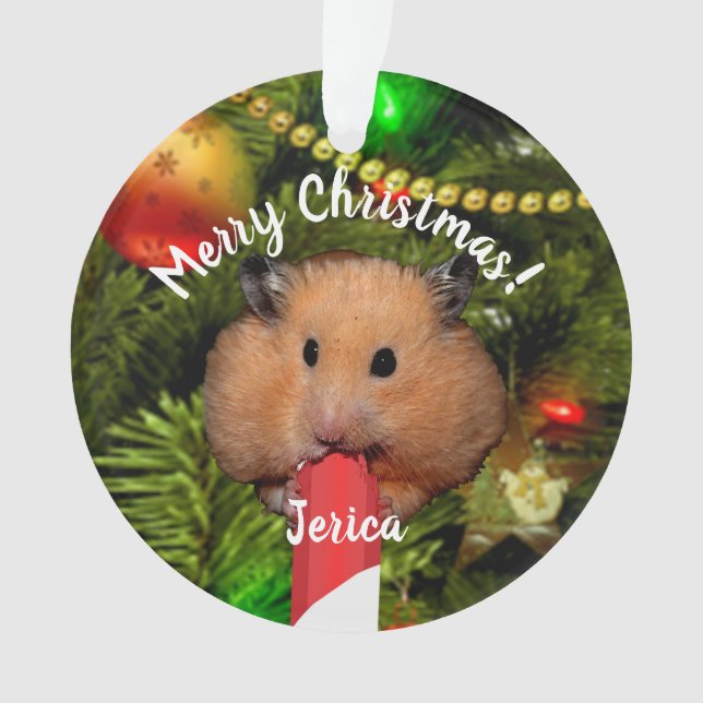 Funny Hamster Eating Candy Cane Ornament (Front)