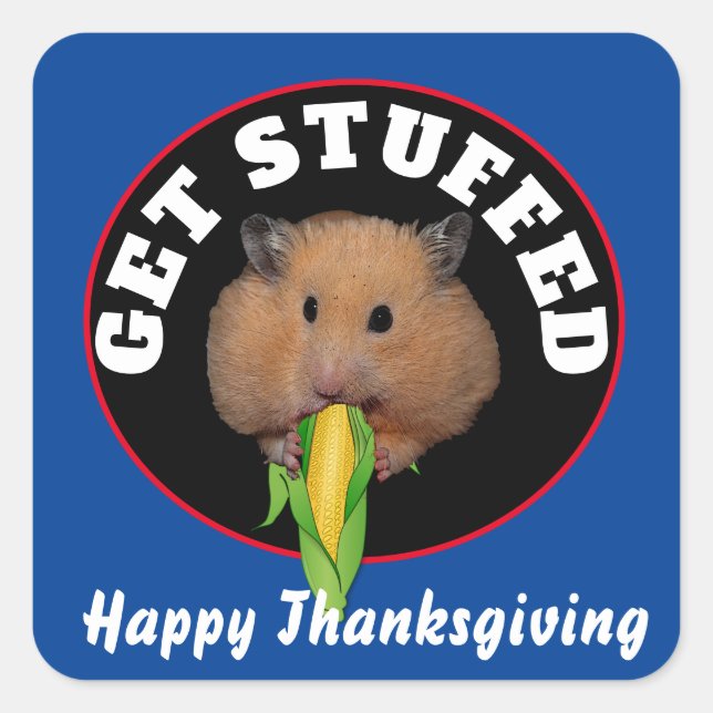 Funny Hamster Thanksgiving  Square Sticker (Front)