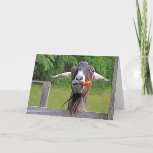 Funny Handsome Goat Fathers Day Holiday Card