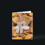 Funny Hanukkah Greeting Card - Cat in Gelt<br><div class="desc">About this item * INSIDE GREETING: "Hope your Hanukkah is purr-fect!" COVER - [image of cat with Hanukkah gelt] * CARD SIZE - Receive 1, regular sized notecard with 5x7 Inch envelope. We offer funny cards that come either blank or greeted inside, so be sure to review all product photos...</div>