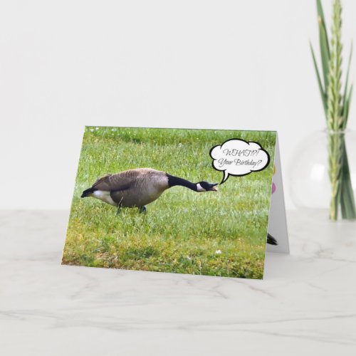 Funny Happy Belated Birthday Goose Card