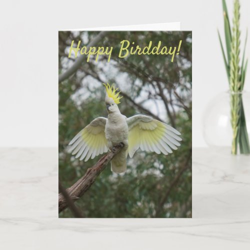 Funny Happy Bird Day Birthday Cockatoo Australia Card