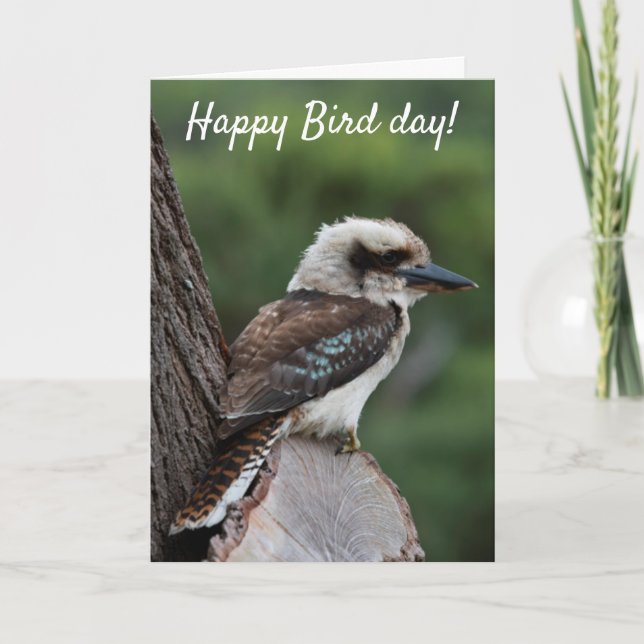 Funny Happy Bird Day Birthday Kookaburra Australia Card (Front)