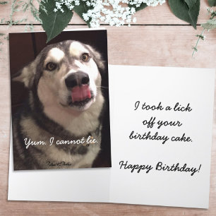 Funny Happy Birthday Alaskan Malamute Dog Card