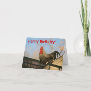 Funny Happy Birthday Card
