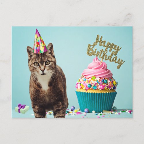 Funny Happy Birthday Cat with Cupcake Postcard