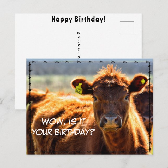 Funny Happy Birthday Country Farm Mail Farm Tales  Postcard (Front/Back)